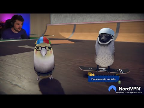 Uccelli Skateranti! - Skatebird !NordVPN