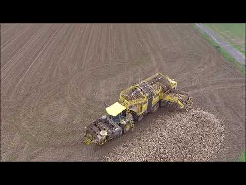 DJI Phantom Drohne Dörnten Die letzten Rüben werden gerodet