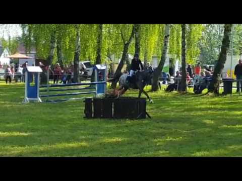 Donner im Springpferde A* in Schapow