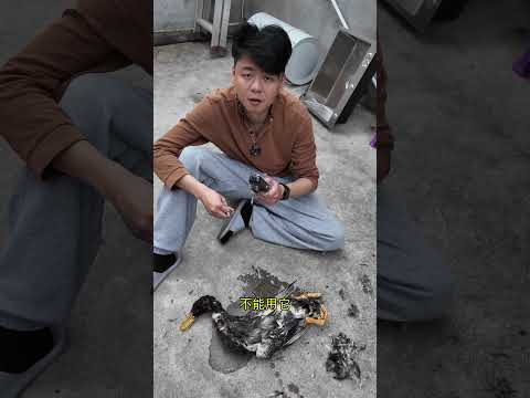 我在懷疑是不是我這臺不夠好 鴨子們：啊？？？ - 拔毛神器