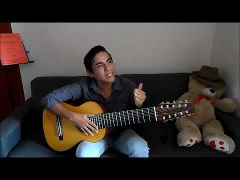 Guitarra de 10 cuerdas y sus afinaciones (10-string guitar tuning)