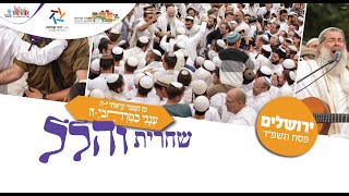 תפילת הלל בשירה שמחה וכוונת הלב מירשלים | הרב שמואל אליהו | א' חול המועד פסח תשפ"ד (הרב שמואל אליהו) - התמונה מוצגת ישירות מתוך אתר האינטרנט יוטיוב. זכויות היוצרים בתמונה שייכות ליוצרה. קישור קרדיט למקור התוכן נמצא בתוך דף הסרטון