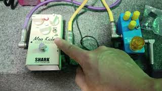 รีวิว Shark moo kalei หรือหมูขาวเล็ก ก้อนนี้เกิน14ปี เสียวอุ่นมาก k.กบ โคราช