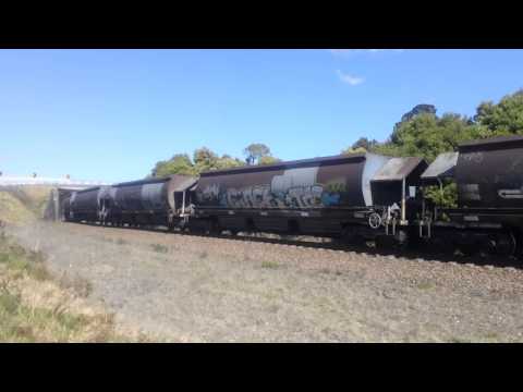 TT CLASS LOCO AT OCEAN VEIW