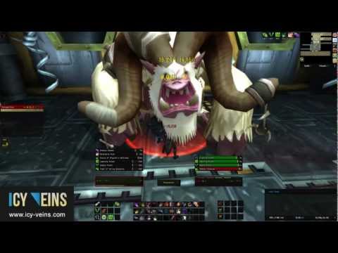 Brawler's Guild - Crush (Special Challengers)