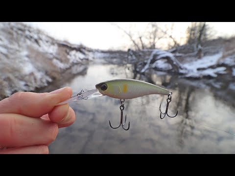Natural shad