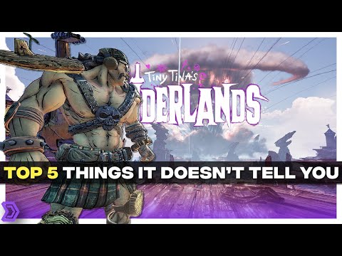 Wonderlands - Top 5 Things The Game DOESN'T Tell You (Spoiler Free)