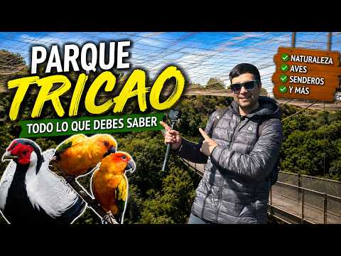 PARQUE TRICAO 🇨🇱 | Qué Hacer, Cómo Es el Aviario y los Mejores Senderos
