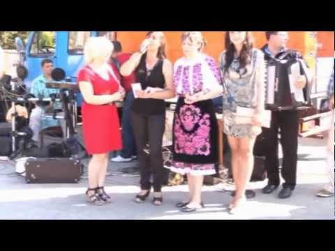 Am kreskut kopil sarak Dragana Jeremic Uzivo Ljubicevac