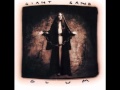 Giant Sand - I'm So Lonesome I Could Cry