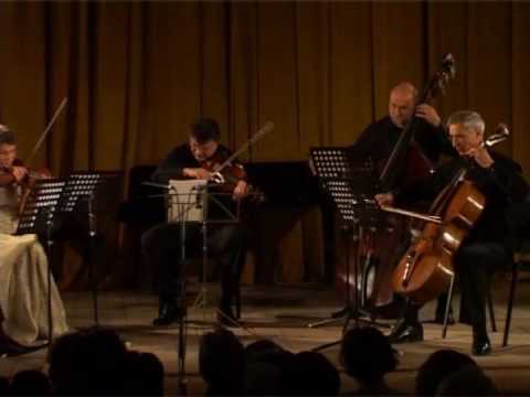 Dvořák String Quintet No. 2 in G major, Opus 77: I. Allegro con fuoco (part 1)