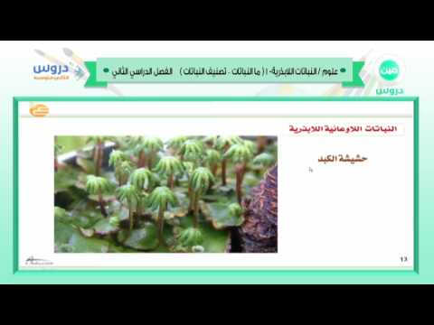 الثاني المتوسط| الفصل الدراسي الثاني 1438 | علوم | النباتات اللابذرية-1
