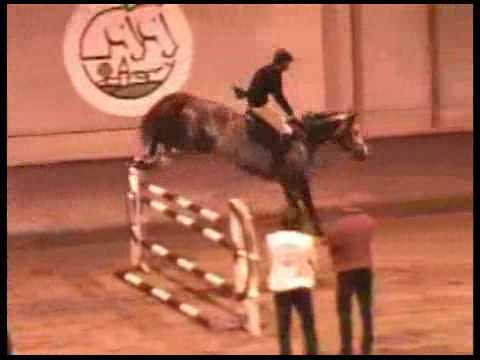 Cicero Z van Paemel - Starshow '07