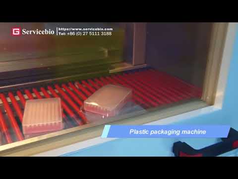 The real factory production scene, pipette tips.