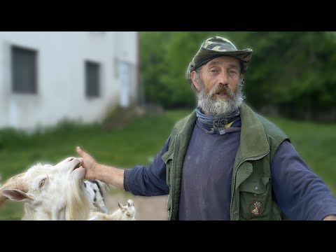 Pastir govori pet jezika, traži ženu za brak