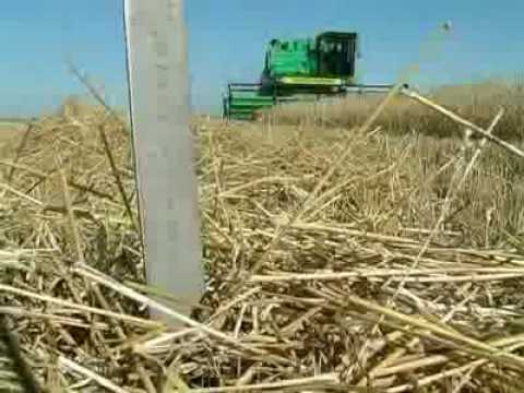 Измельчитель соломы навесной на комбайны Нива и Дон 1500А/Б 