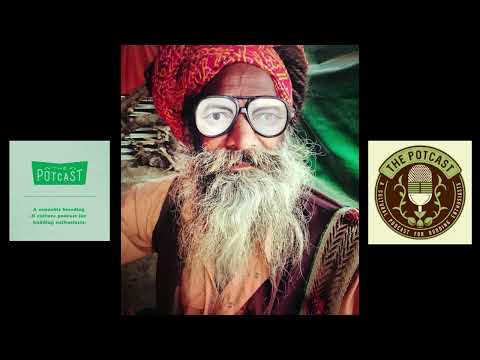 Episode 100.66 ft Bodhi of Bodhi Seeds / Yab-Yum / Supernatural Selections / Nierika - The Pot Cast