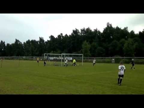 Kassu maalaa ulvilaa vastaan