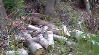 Severed Heads in Canada