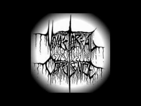 Vomitorial Corpulence (xVxCx) - One Question & One Answer [LYRIC VIDEO] (Xian Grindcore/Goregrind)