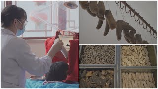 Herbal remedies, cupping and Tai Chi: Inside China's £420bn traditional medicine