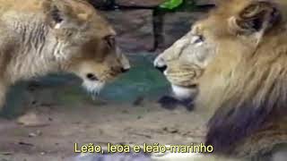 Legião Urbana - Vamos Fazer Um Filme ( Legendado )HQ
