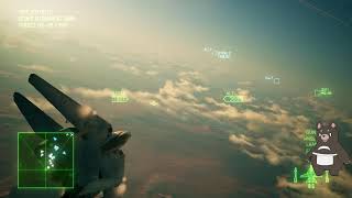 【エスコン７】ACE COMBAT 7 SKIES UNKNOWNを完全初見でやるぞい。