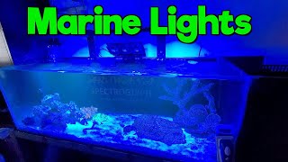 Marine Tank Lights I Arowana Spectroglyph
