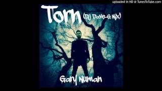 Gary Numan - Torn (DJ DaveG mix)
