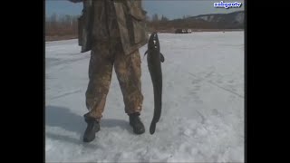 Рыбалка на реке витиме