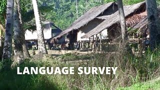 In Their Own Words  Language Survey