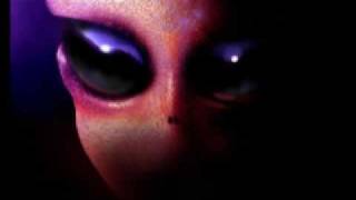 Animals as leaders -  Thoroughly at Home