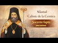 Sfântul Calinic De La Cernica Ierarhul Nevoinței și Viața Sa Plină De încercări