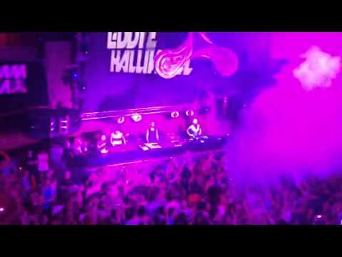 BUNKER CALIWOOD IBIZA AMNESIA