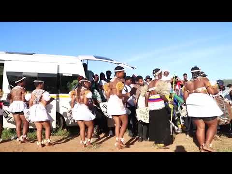 uMemulo kanye noMembeso ka Thokozani Ncwane embeswa uMqondisi  isolated tribe