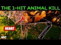 Why Headshots Do LESS Damage To Animals In DayZ