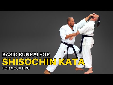 Learn Basic Shisochin Bunkai for Goju Ryu
