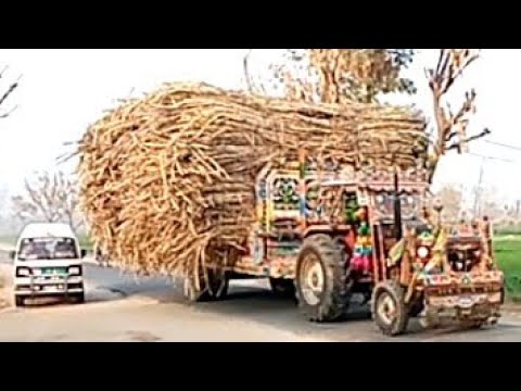 MF 265 High Loaded Sugar Cane