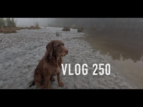 Josh James VLOG 250 Tahr hunting duck hunting 4WD and camping missions and adventuring round