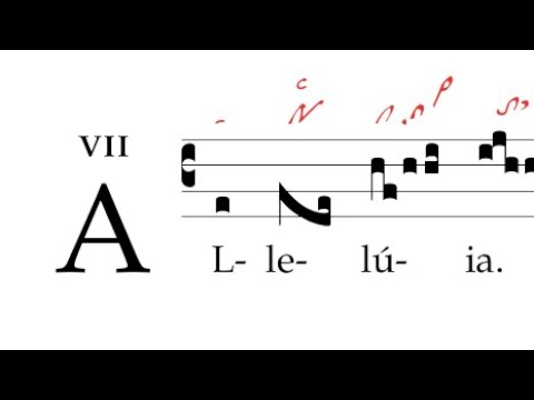 Alleluia: Adorabo ad templum sanctum tuum