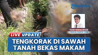 Penemuan Tengkorak Manusia di Desa Poh Gading Lotim berasal dari "Makam Jaran" Menurut Ketua Adat