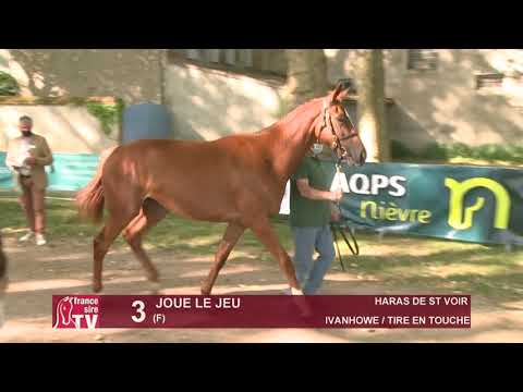 Sprinter Sacré Show 2021 : Lot 3 - Joue Le Jeu