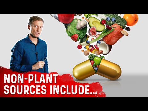 An APPLE a Day Will NOT Let Your Weight Go Away – Dr Berg