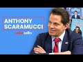 “Insanity”: What Anthony Scaramucci learned working for Trump | Salon Talks