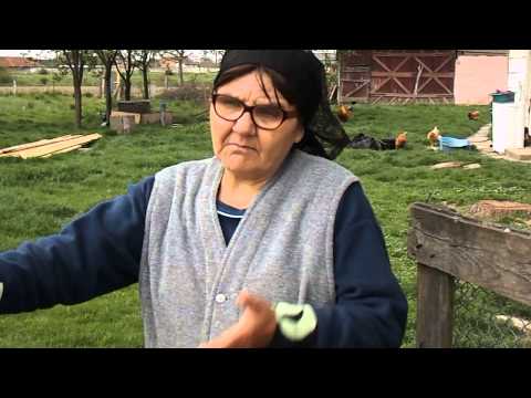 sinucidere GELU VOCEA TRANSILVANIEI 4