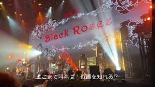 【aLIEz】[cover] 黒薔薇-BlackRosez- Live in Shenzhen