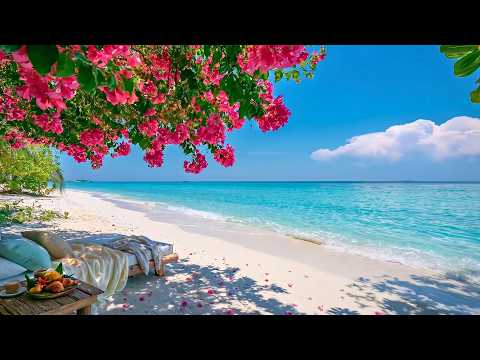 Today's ambience