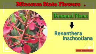 List Of State & Union Territory Flowers Of India