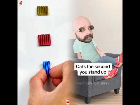 Cats always think you’re about to feed them #comedy #fyp