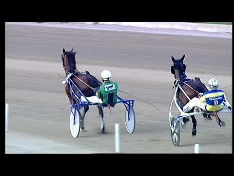 Napoli Trotto 23/07/2021 - 2ª corsa